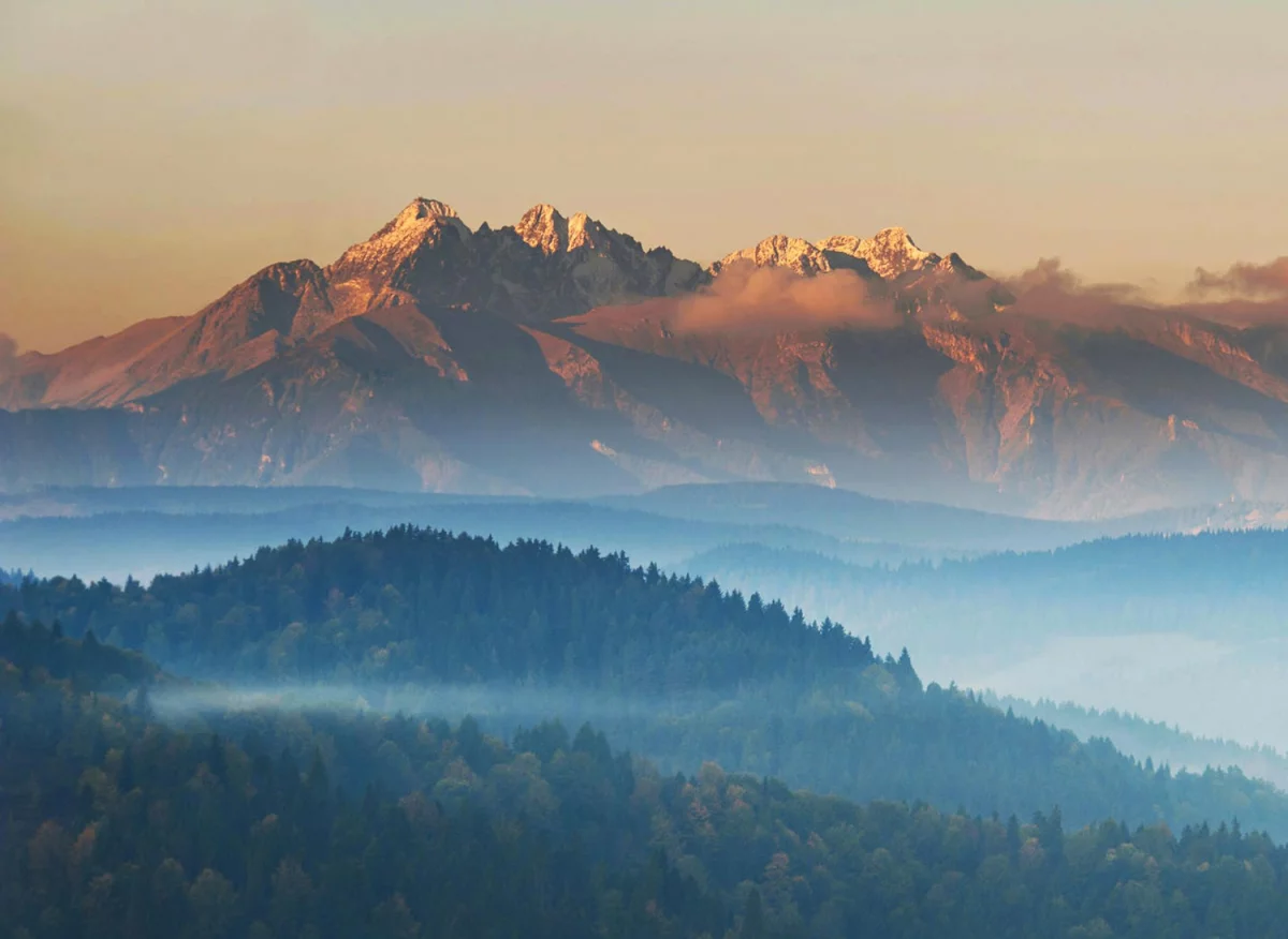 Oni Nie Chcą Abyś Dowiedział Się Jak złożyć sprawozdanie BDO!
