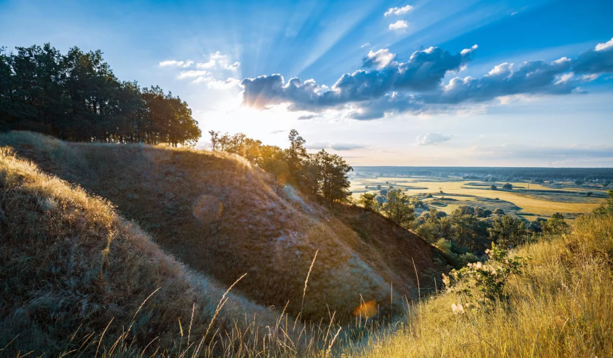 Tylko tutaj więcej informacji o tym jak wdrożyć eudr