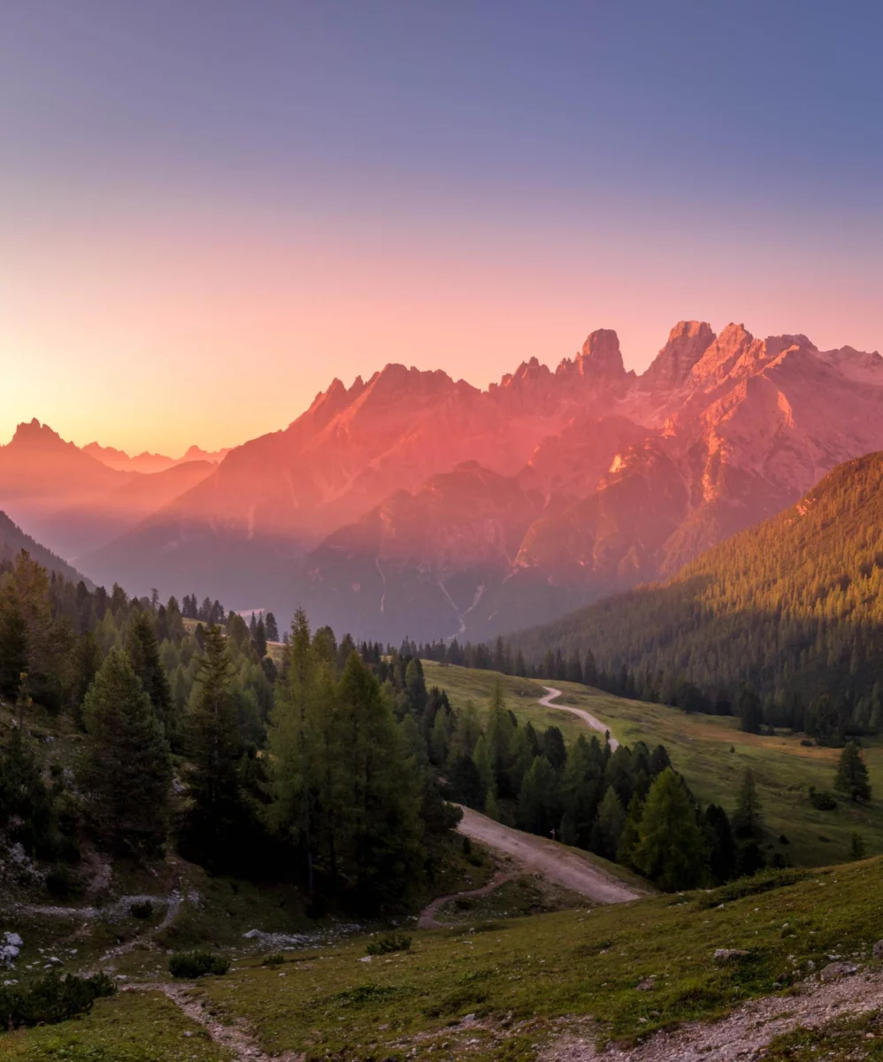 szkolić się? Jak ekspert!