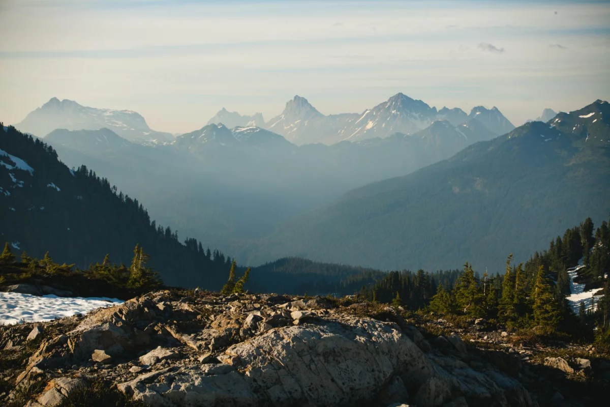 Jak  kupić wyposażenie domu - nowości w 2024