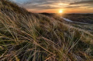 Tylko tutaj więcej informacji o tym jak wdrożyć eudr